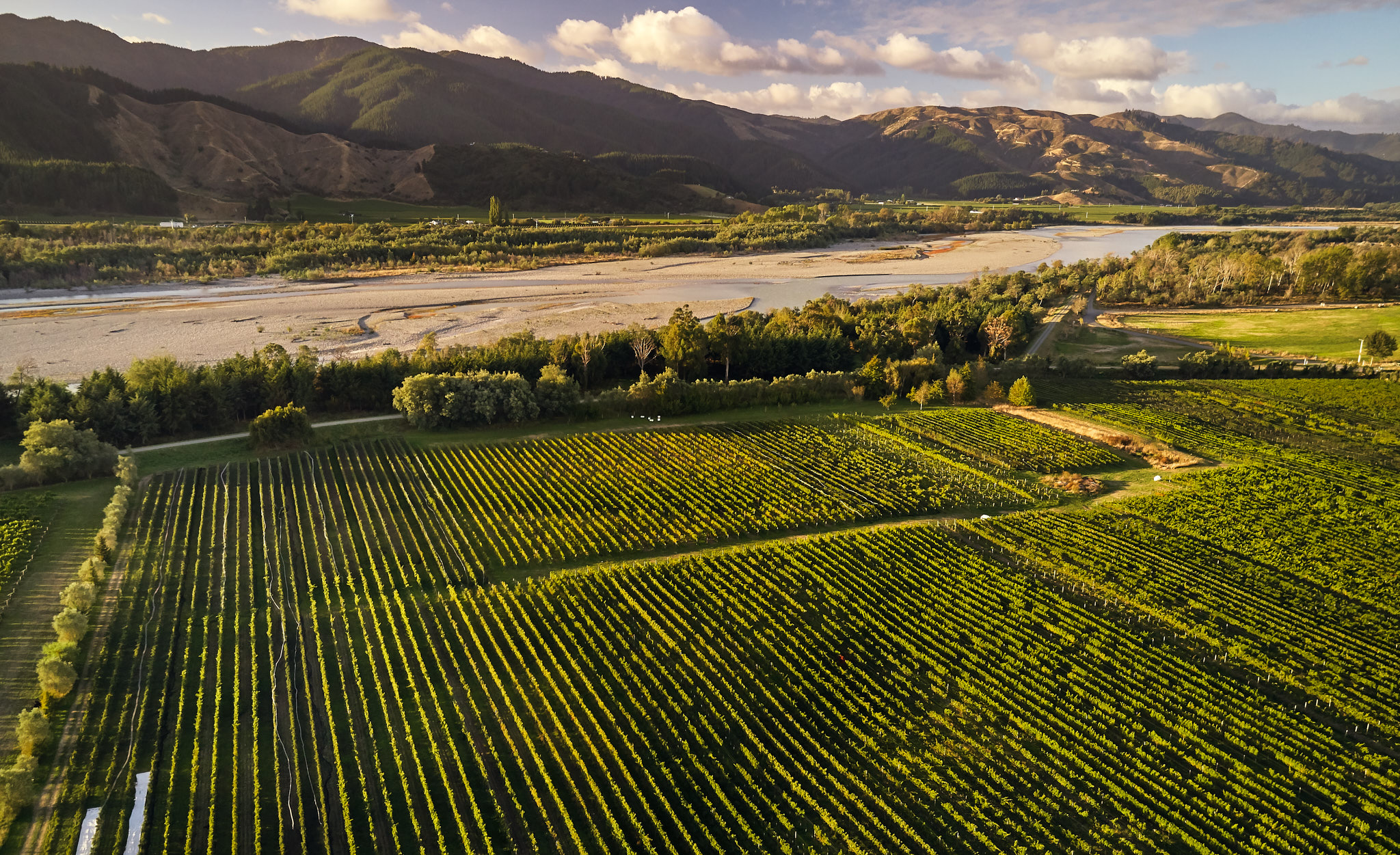 Hans herzog vineyard 2025 cottage