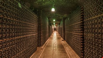 Wine tour